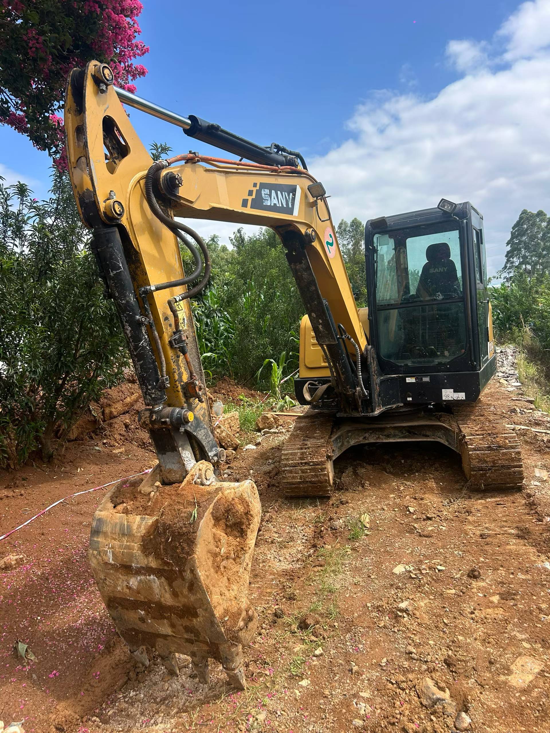 Buy Sany SY55 Used Excavator / 6