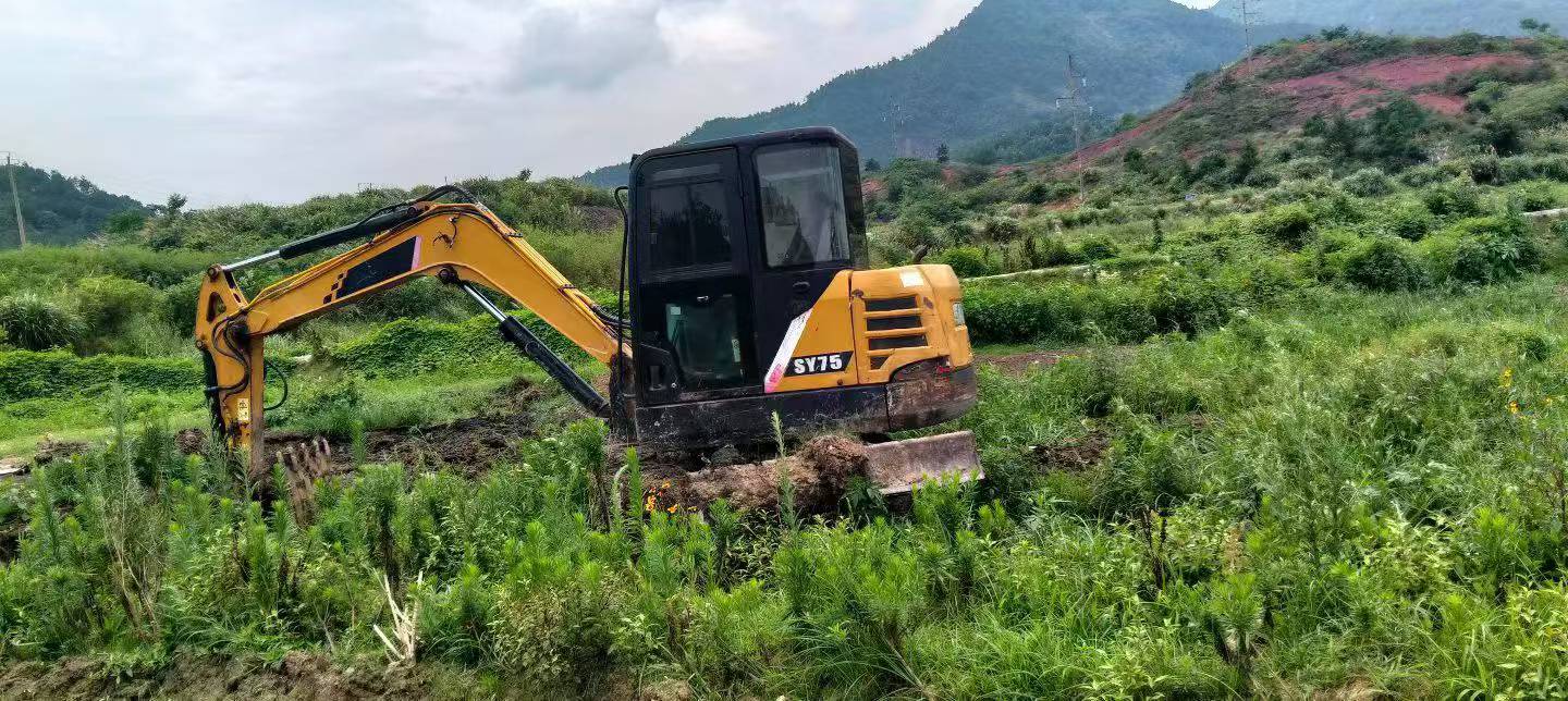 Buy Sany SY55 Used Excavator / 2