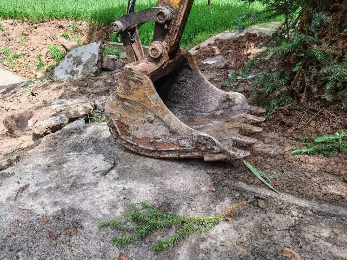 Buy Sany SY135 Used Excavator / 8