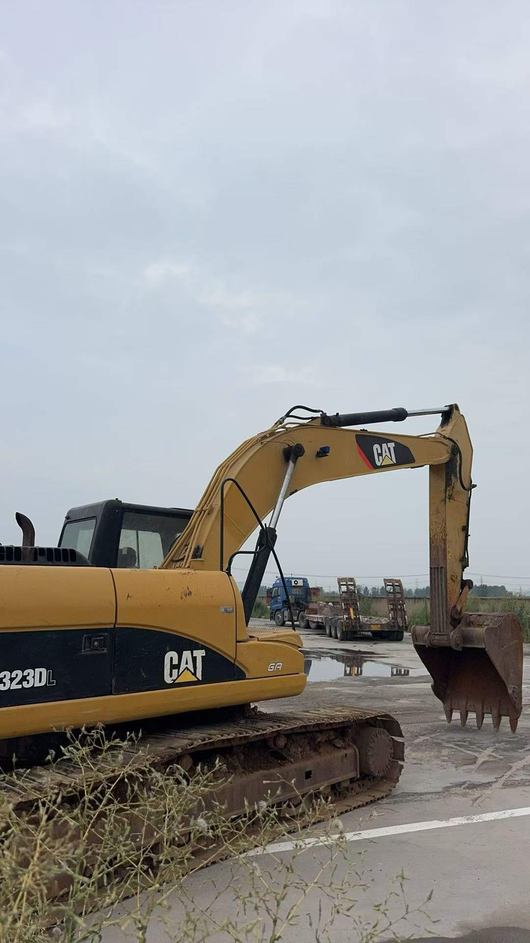 Buy Caterpillar 323 Used Excavator / 6
