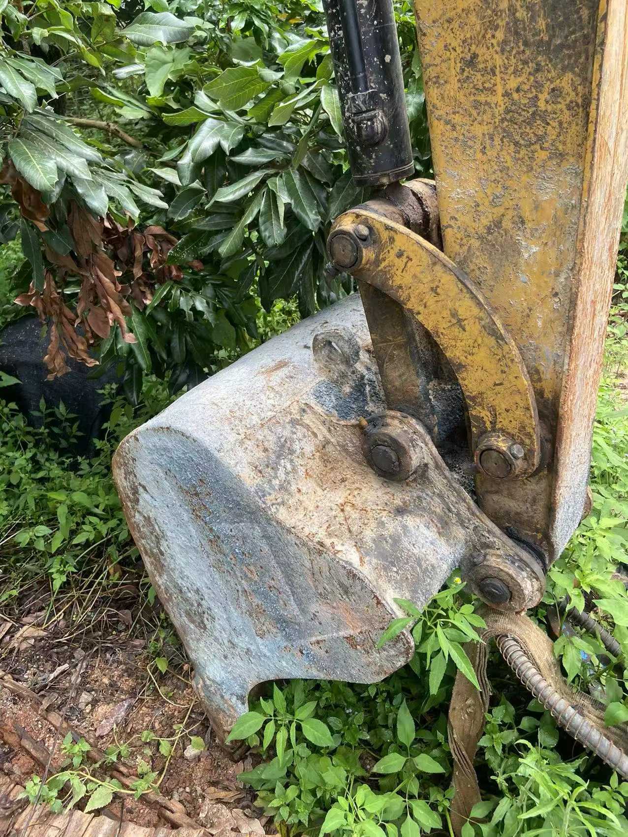 Buy Caterpillar 305.5 Used Excavator / 7