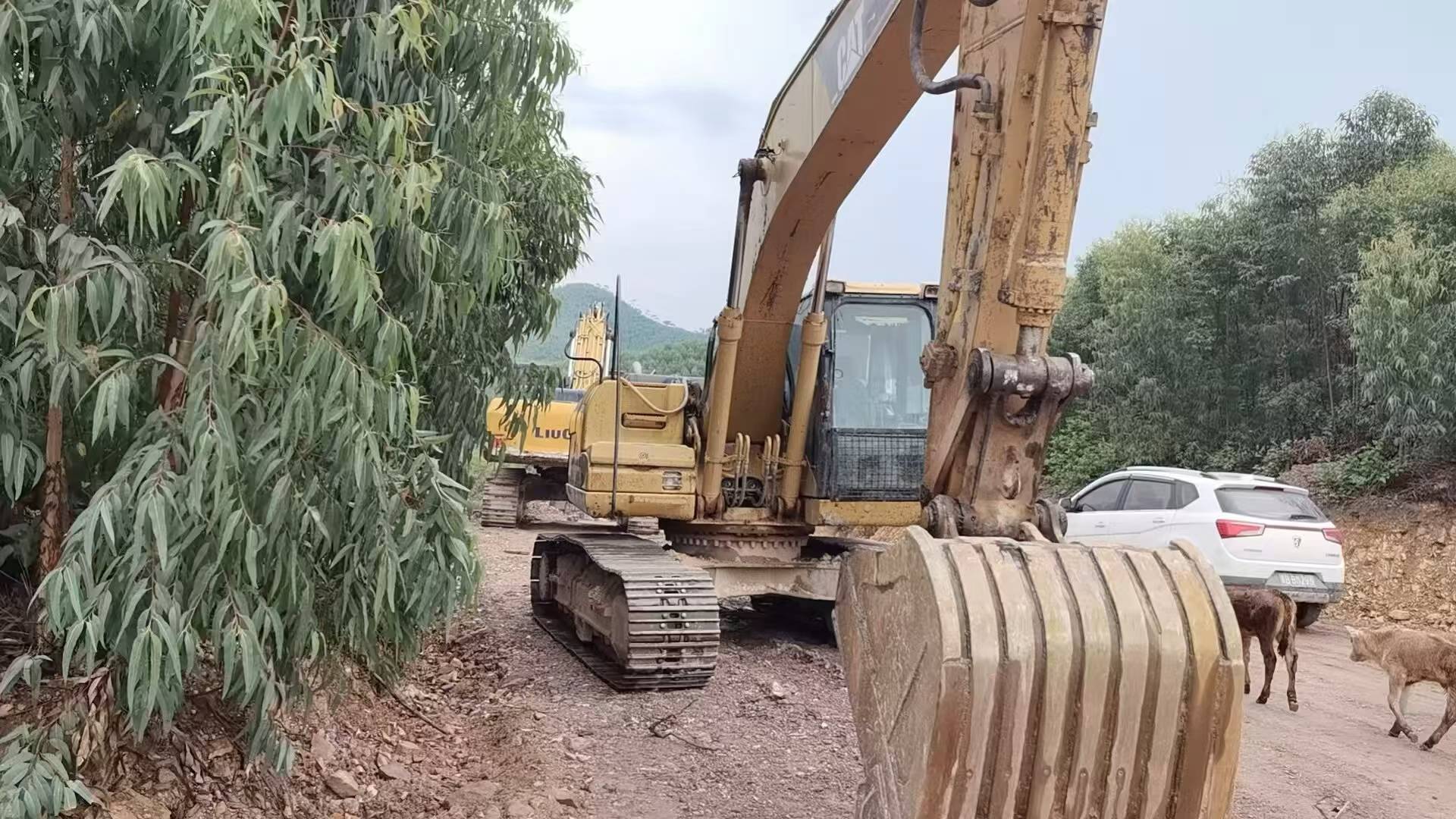 Buy Caterpillar 320D Used Excavator / 3