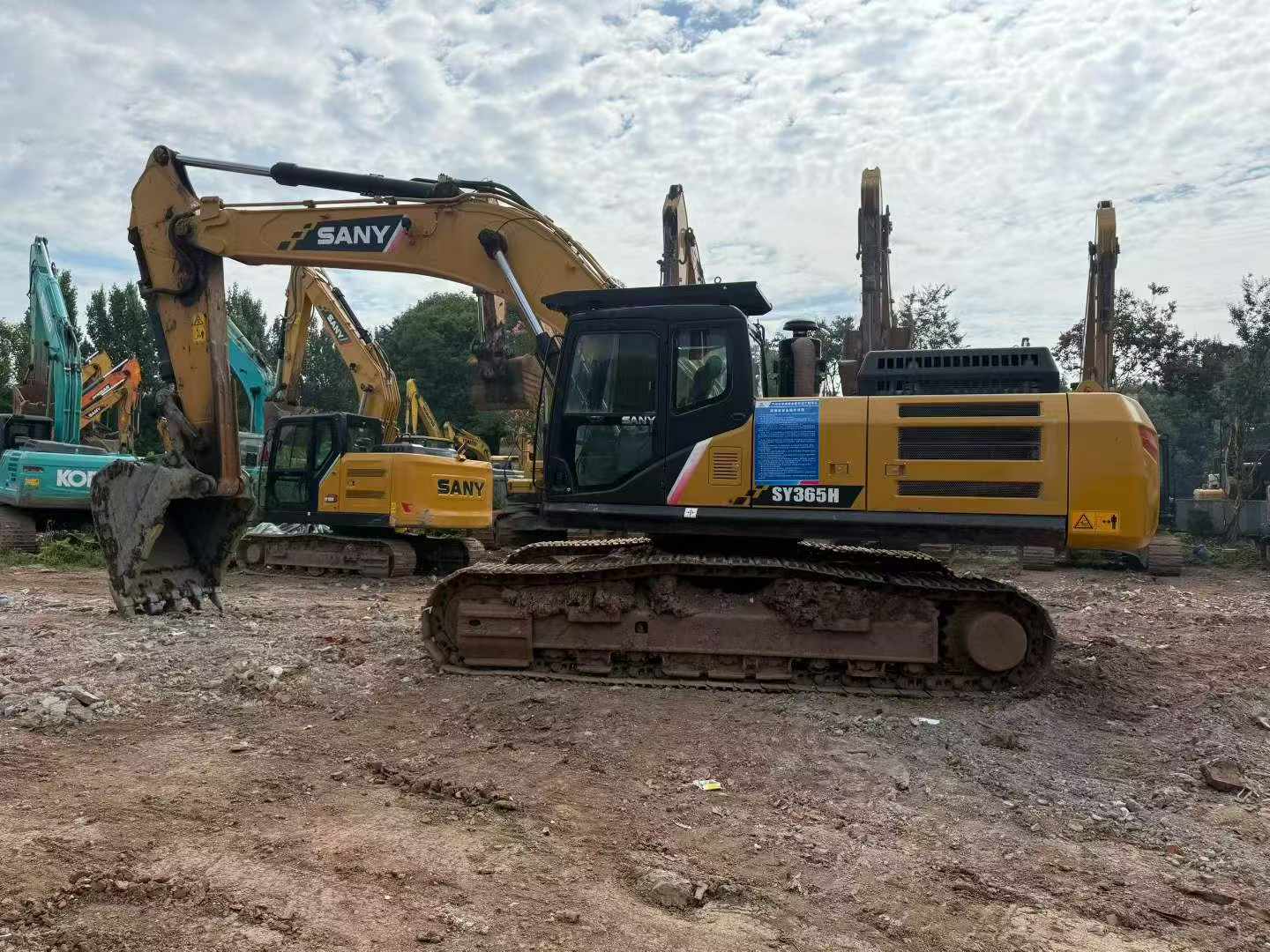 Buy Sany SY365C Used Excavator / 3
