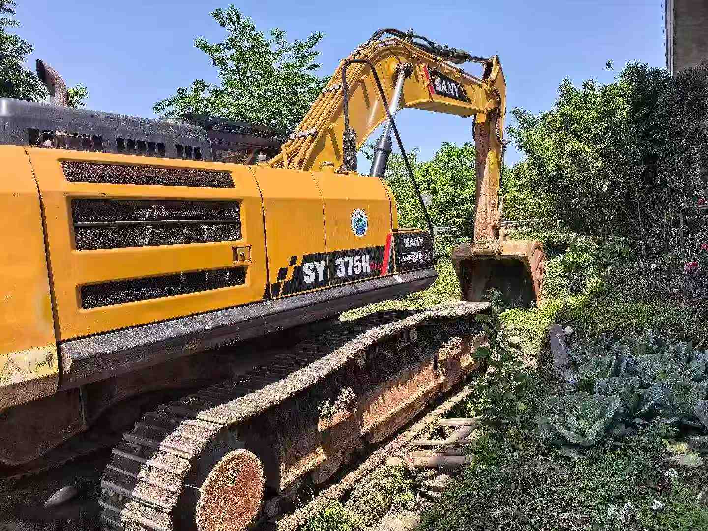 Buy Sany SY365H Used Excavator / 3