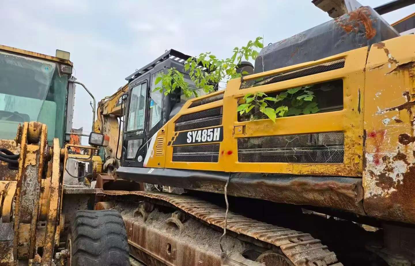 Buy Sany SY485C Used Excavator / 2