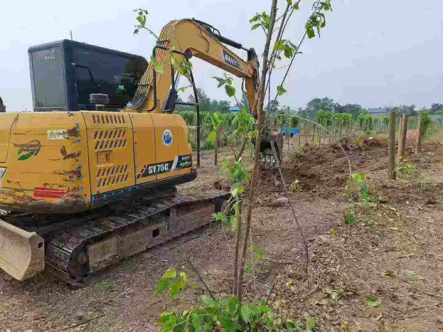 Buy Sany SY70C Used Excavator / 9