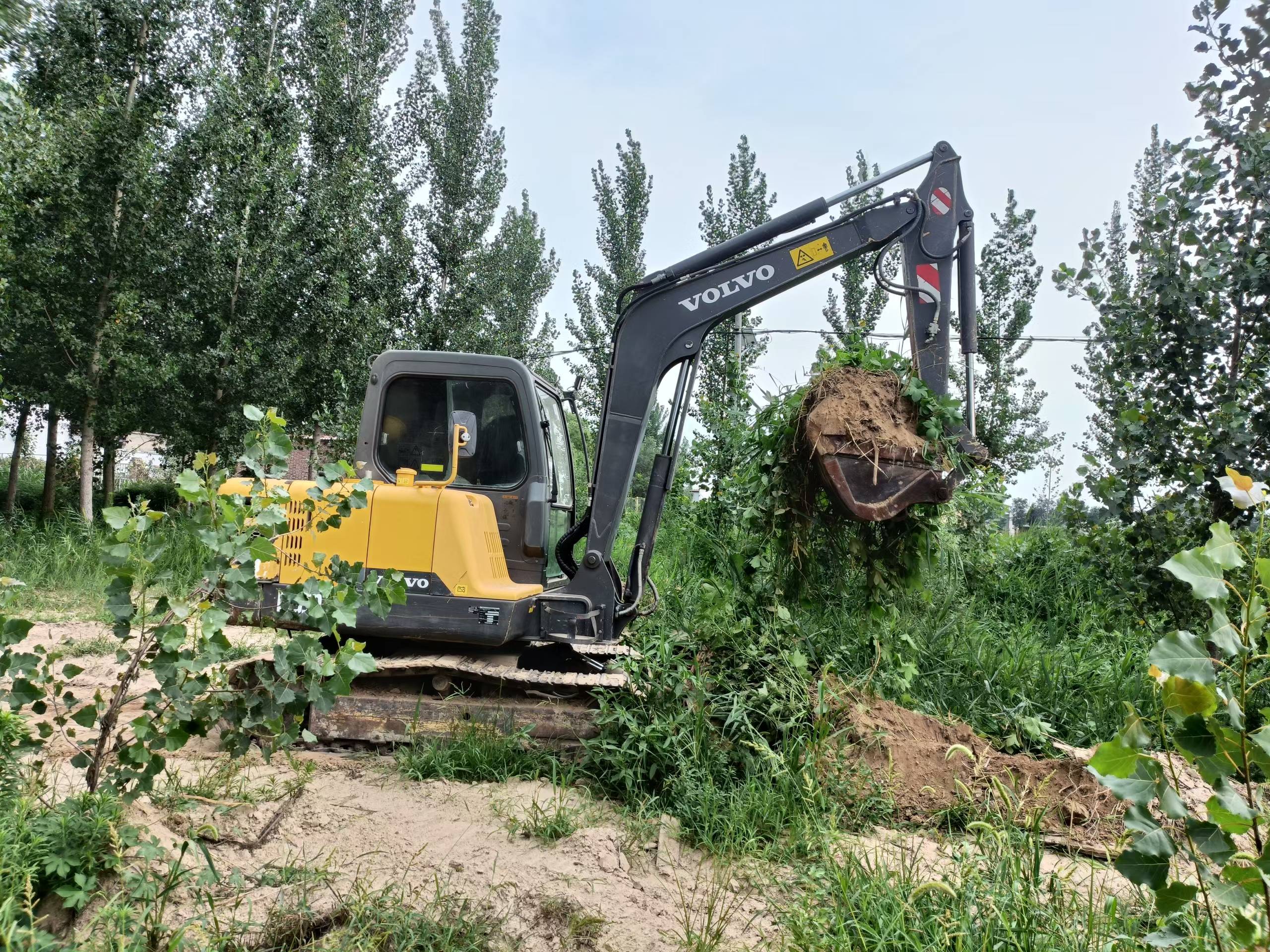 Buy Volvo EC55 Used Excavator / 1