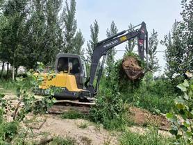 Buy Volvo EC55 Used Excavator / 2 Buy Volvo EC55 Used Excavator / 2