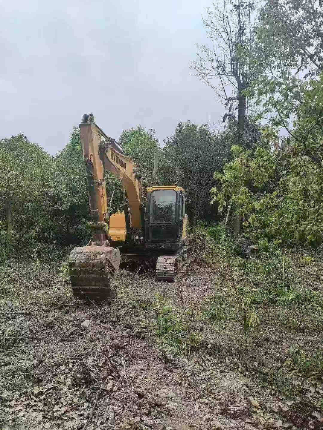 Buy Hyundai 110LVS Used Excavator / 4 Buy Hyundai 110LVS Used Excavator / 4