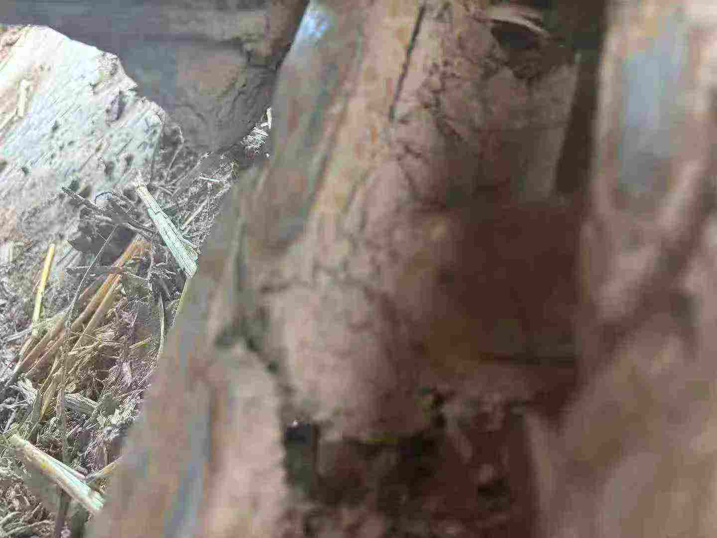 Buy Sany SY95C Used Excavator / 5 Buy Sany SY95C Used Excavator / 5