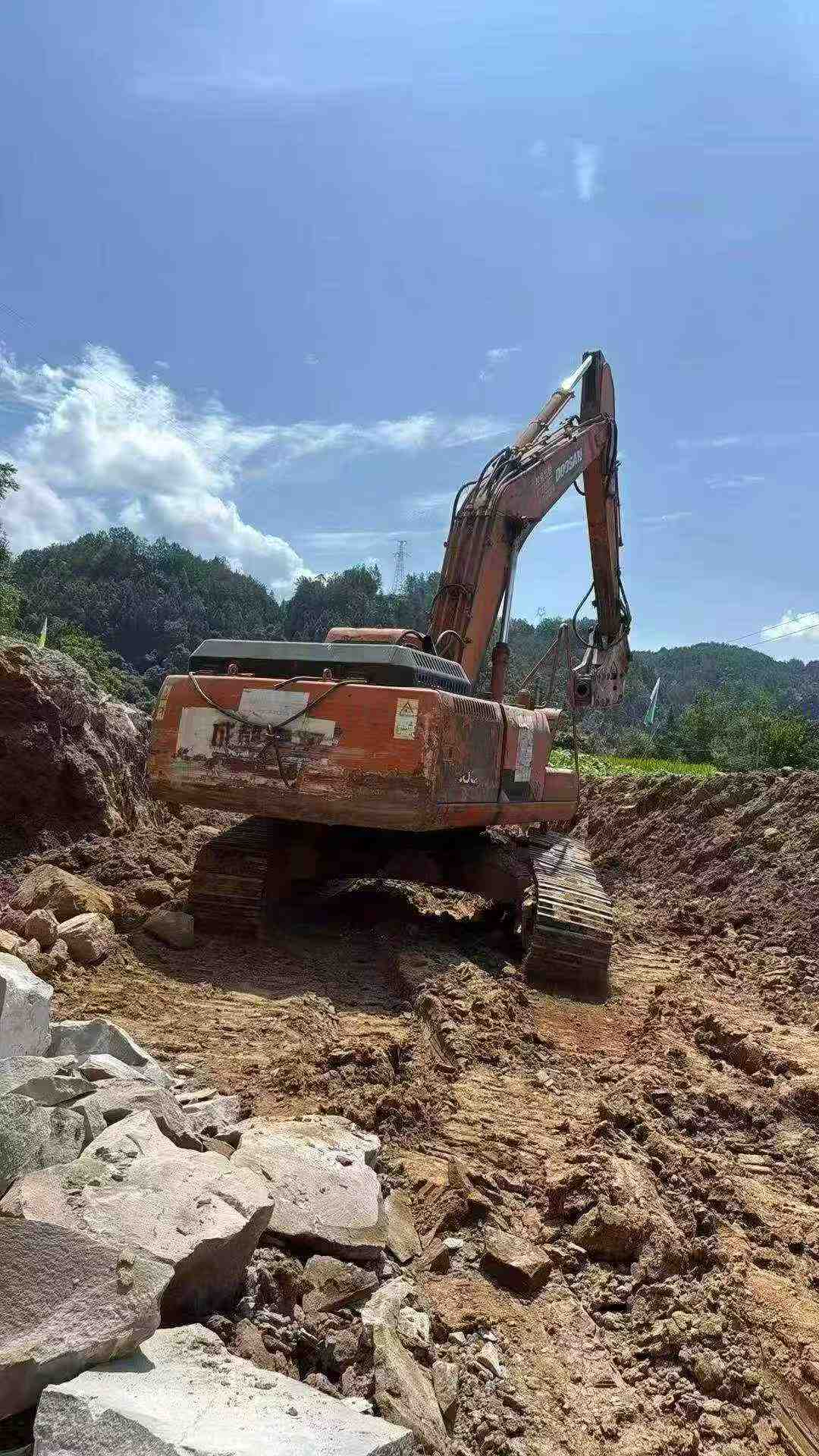 Compre Excavadora Doosan DH225-9 Usada / 4