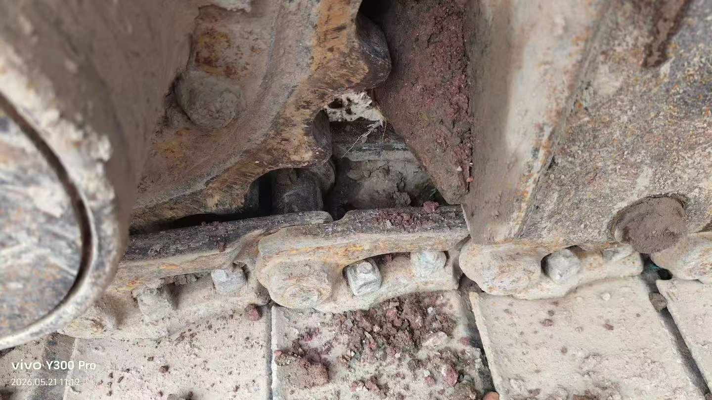Buy Caterpillar 305.5 Used Excavator / 6