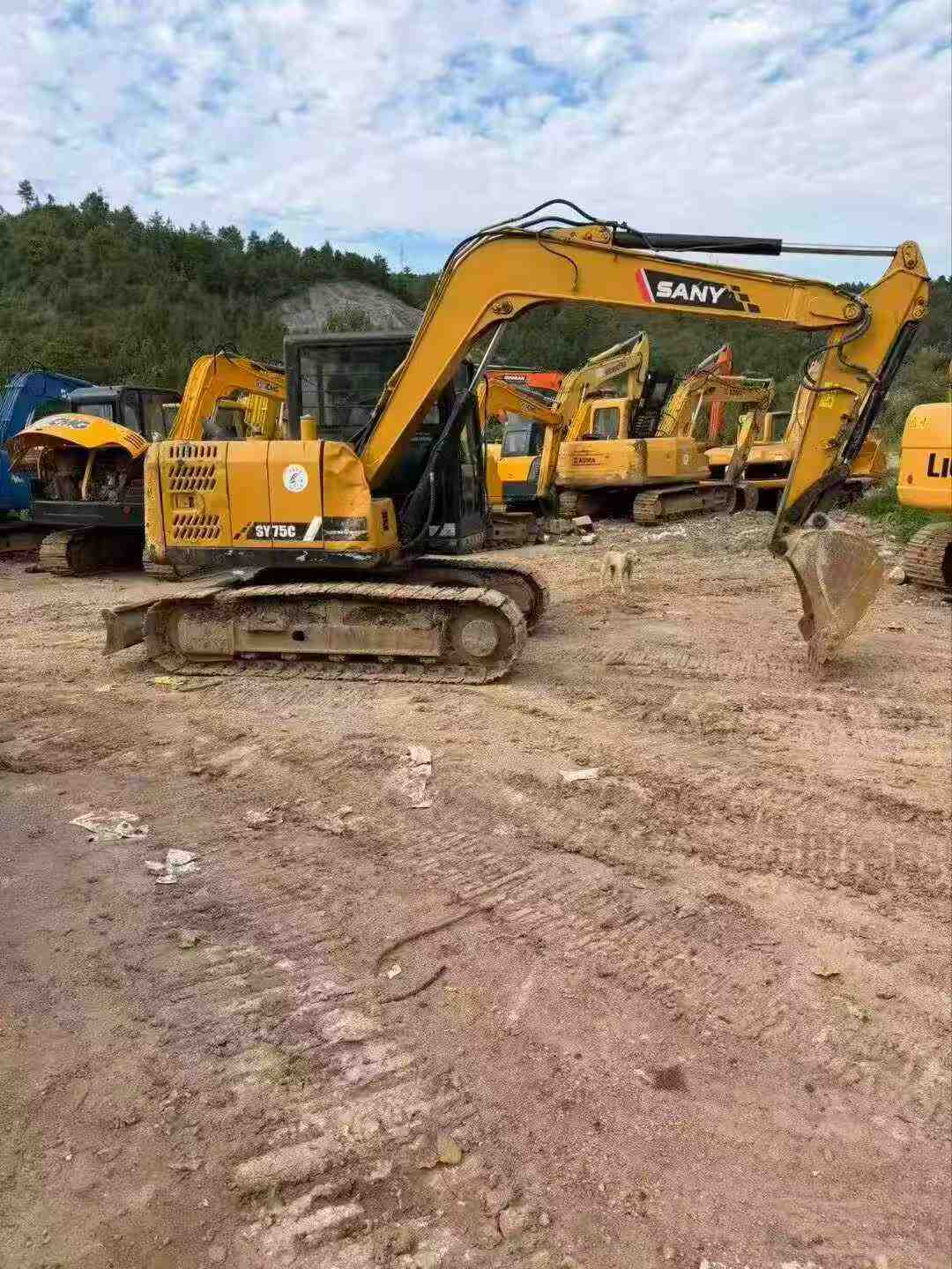 Buy Sany SY75 Used Excavator / 1