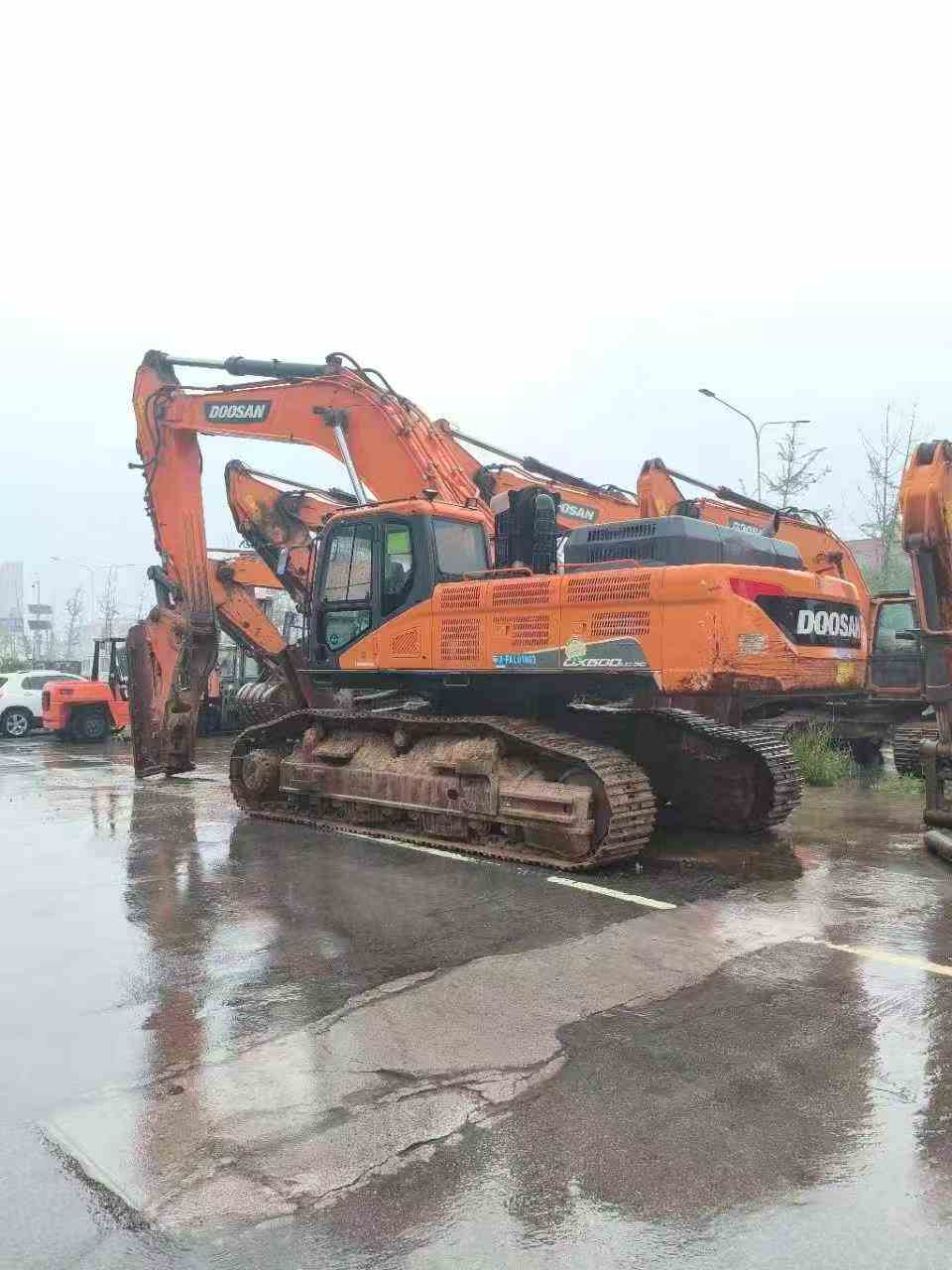 شراء حفارة Doosan DX500LC-9C مستعملة / 2