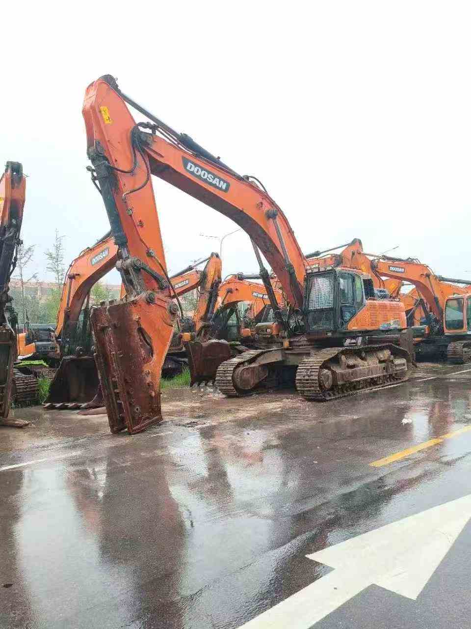 شراء حفارة Doosan DX500LC-9C مستعملة / 3