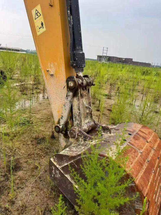 Buy Sany SY215C Used Excavator / 1