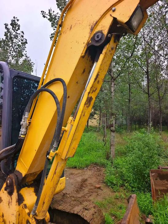 Buy Komatsu PC56-7 Used Excavator / 1