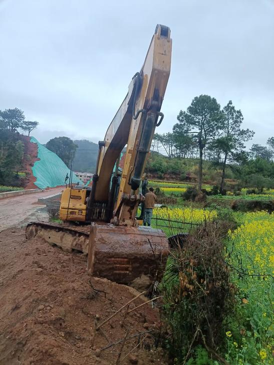 Buy Caterpillar 323 Used Excavator / 1