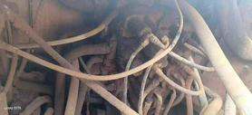 Buy Sumitomo SH240-3 Used Excavator / 6 Buy Sumitomo SH240-3 Used Excavator / 6