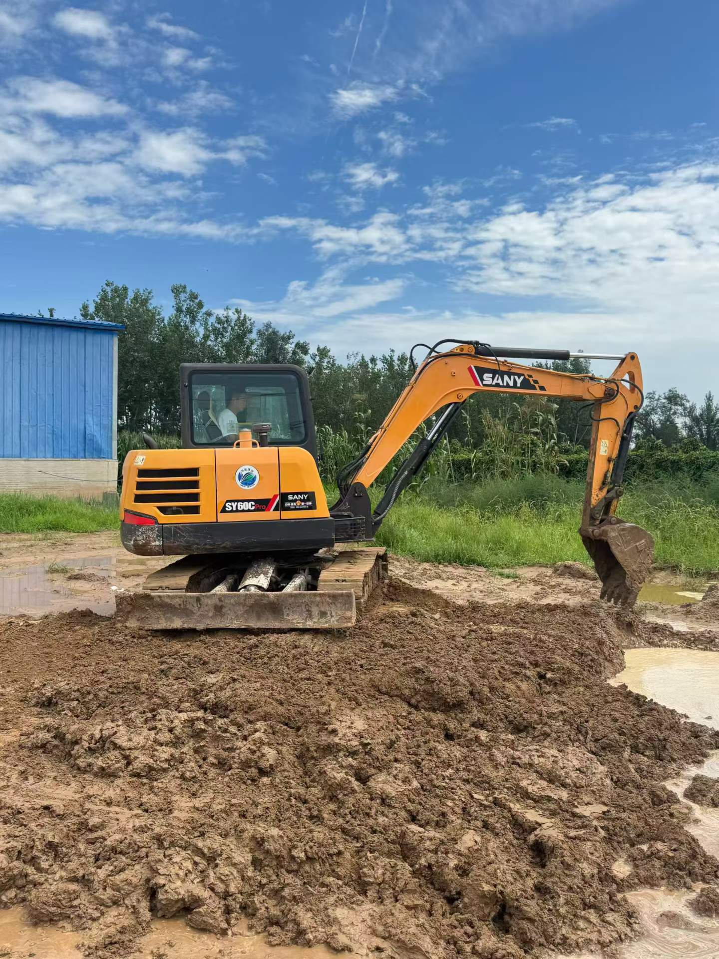 Buy Sany SY60 Used Excavator / 3
