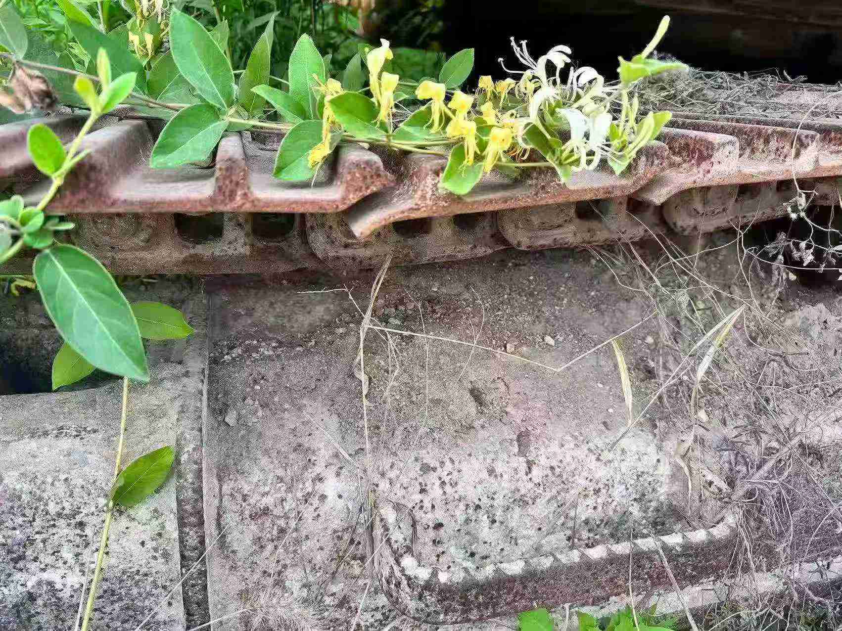 Buy Caterpillar 320C Used Excavator / 3 Buy Caterpillar 320C Used Excavator / 3