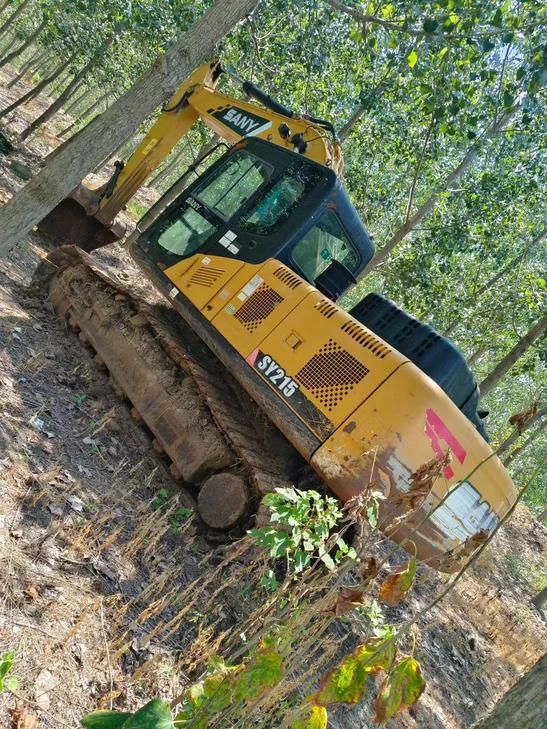 Buy Sany SY195C Used Excavator / 1