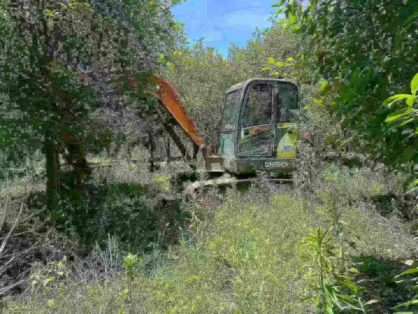 Compre Escavadeira Doosan DH60 Usada / 6 Compre Escavadeira Doosan DH60 Usada / 6
