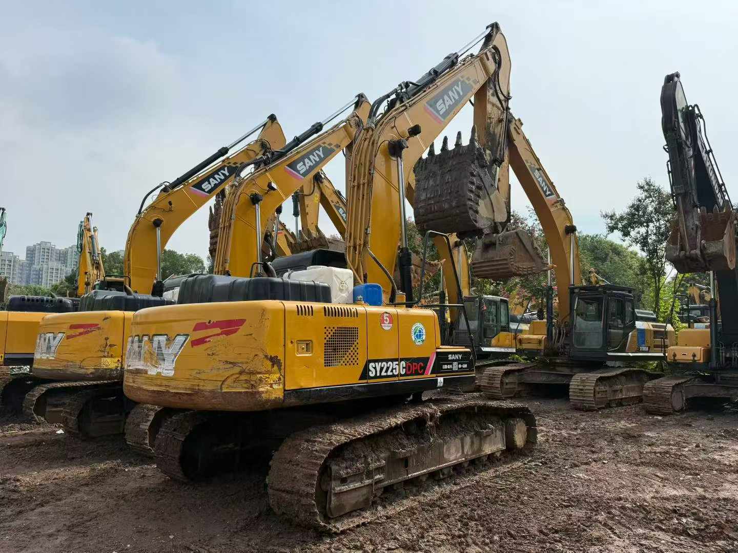 Compre Excavadora Sany SY205C Usada / 2