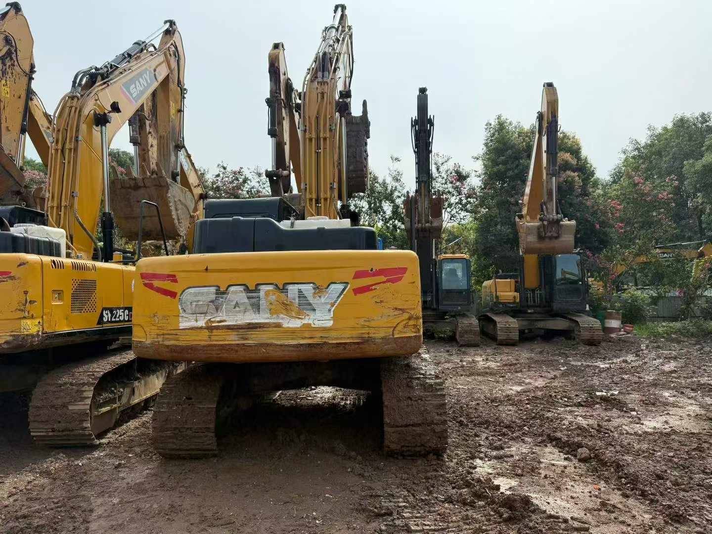 Compre Excavadora Sany SY205C Usada / 3