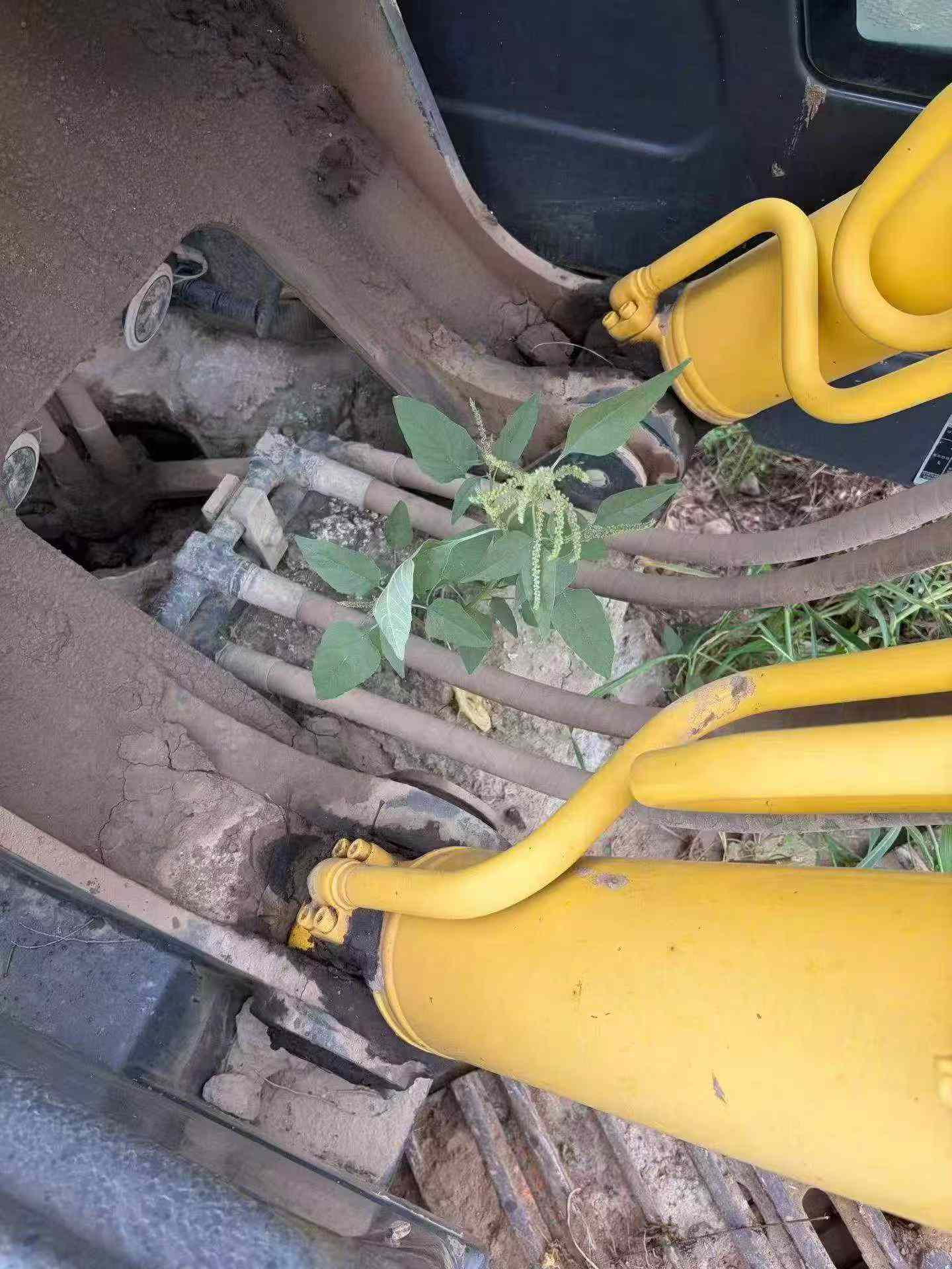 Buy Sumitomo SH210-5 Used Excavator / 3
