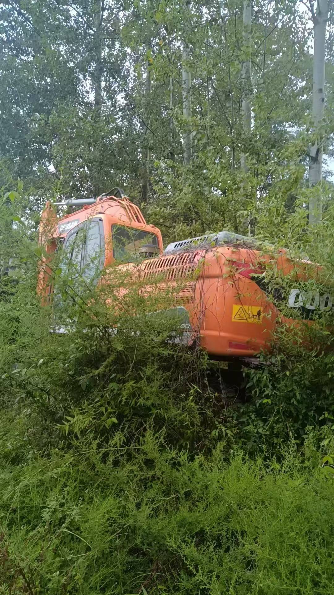 Compre Escavadeira Doosan DX260LC Usada / 3