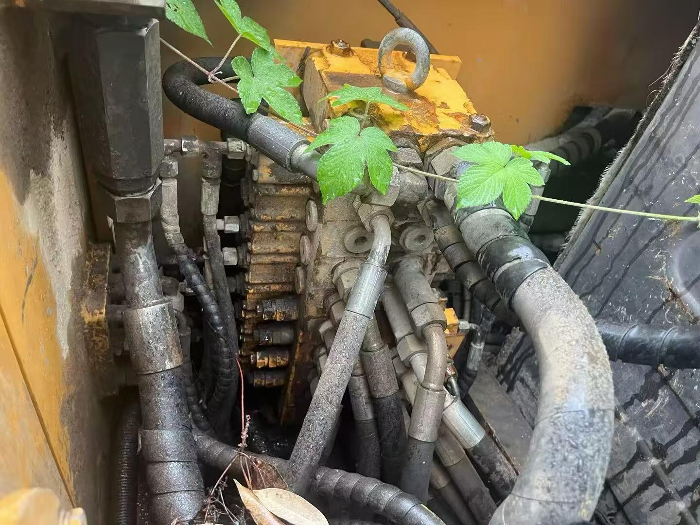 Buy Sany SY85 Used Excavator / 2