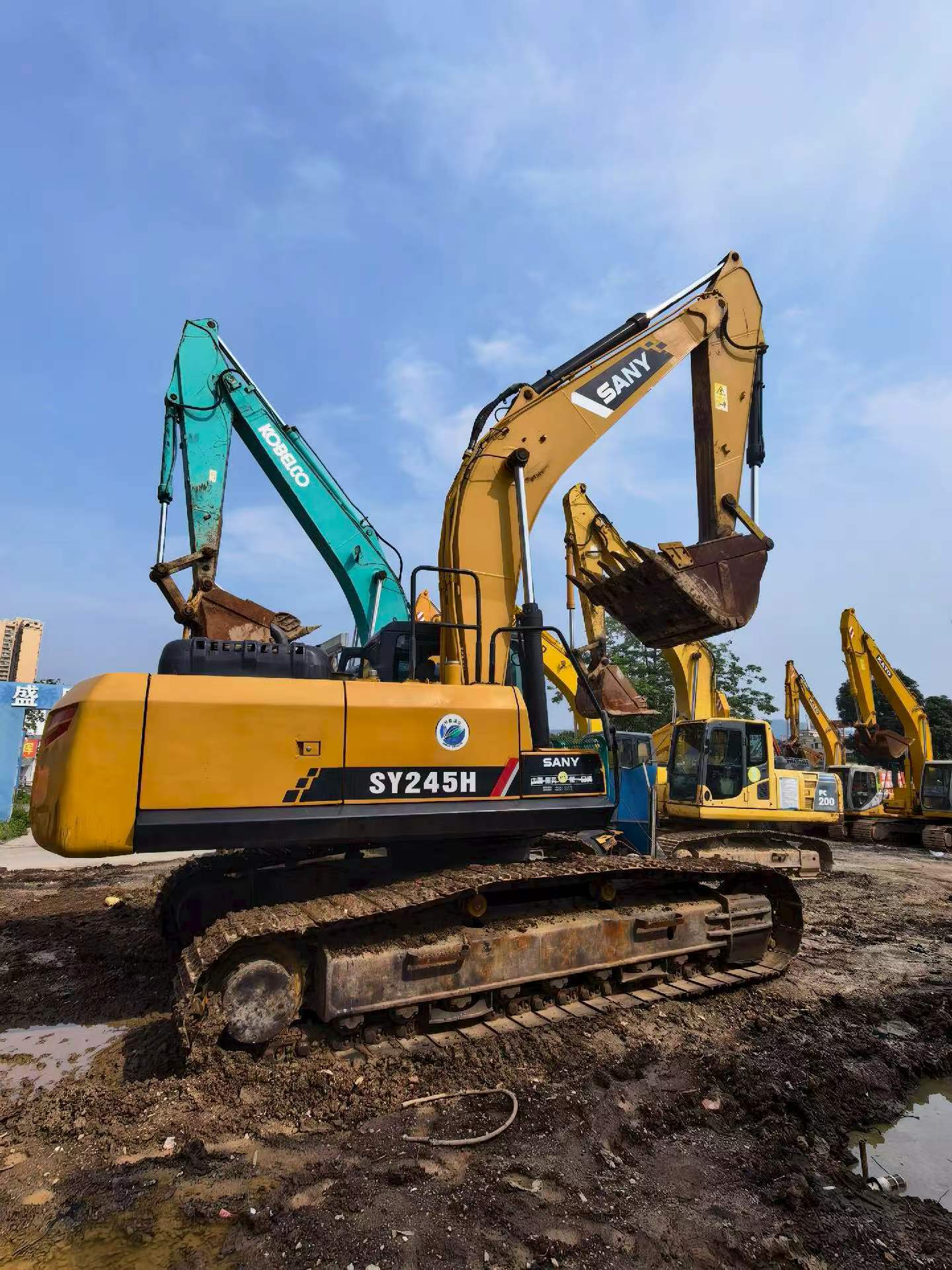 Buy Sany SY245H Used Excavator / 1