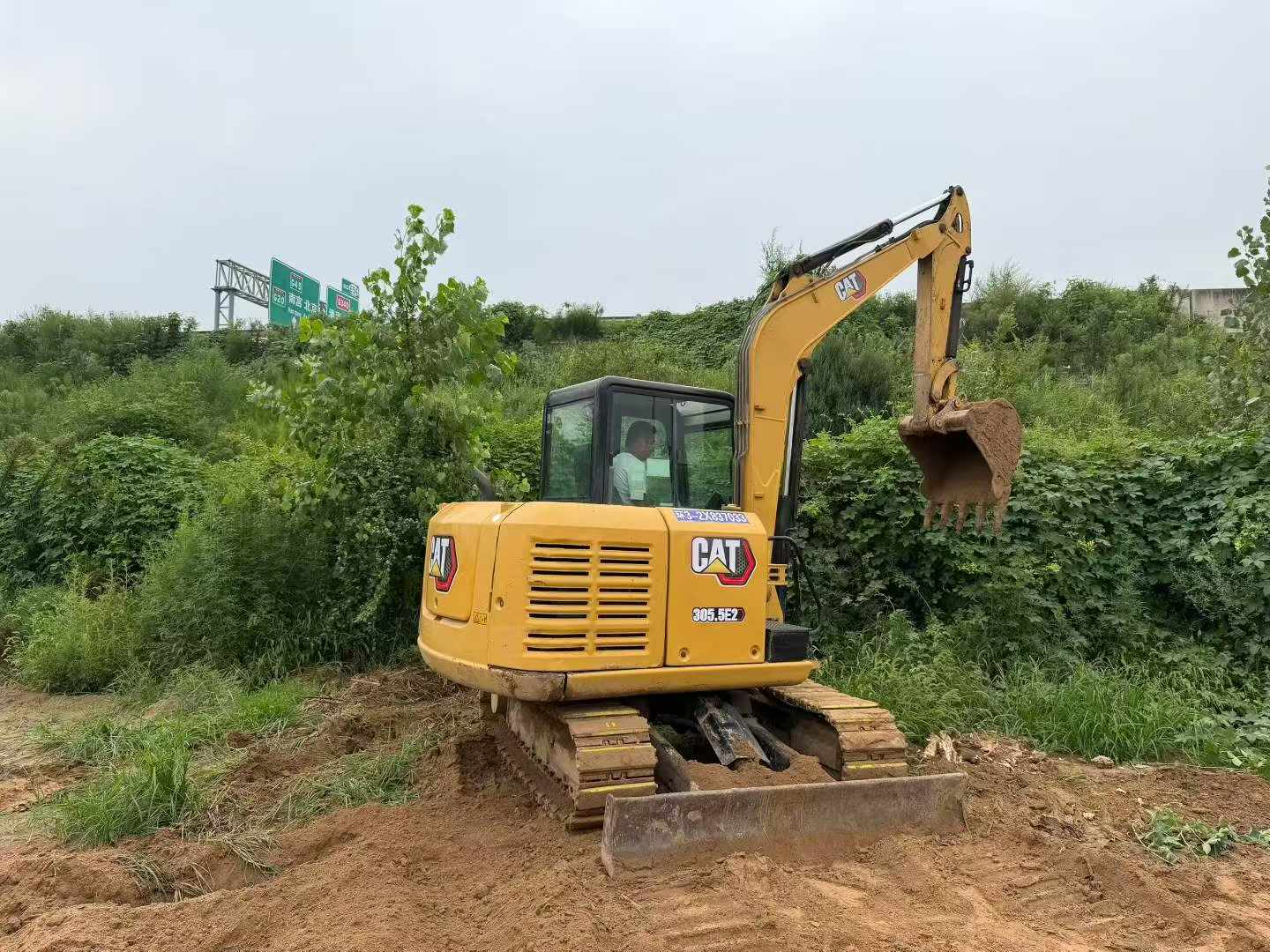 Buy Caterpillar 305.5 Used Excavator / 3