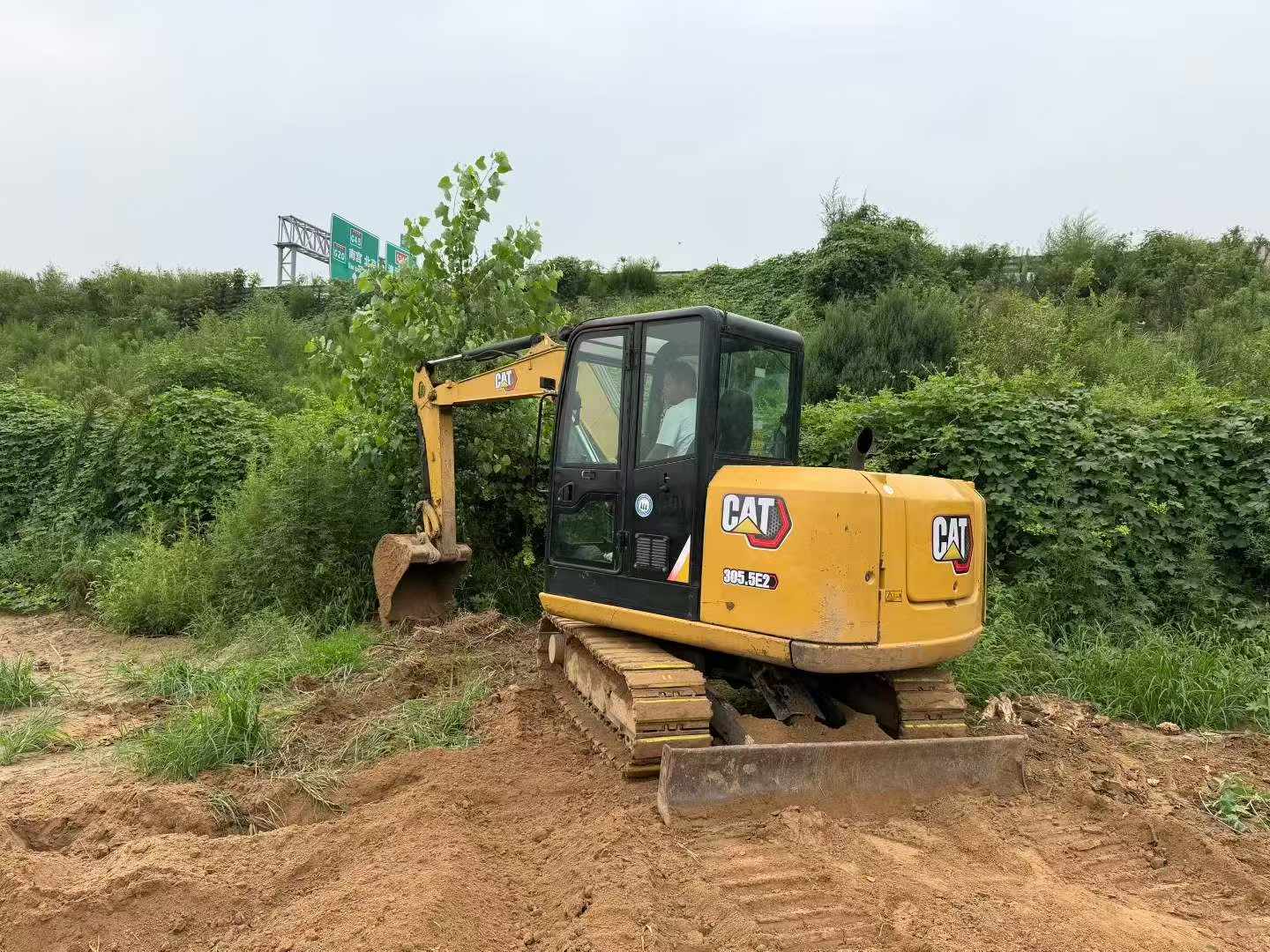 Buy Caterpillar 305.5 Used Excavator / 2