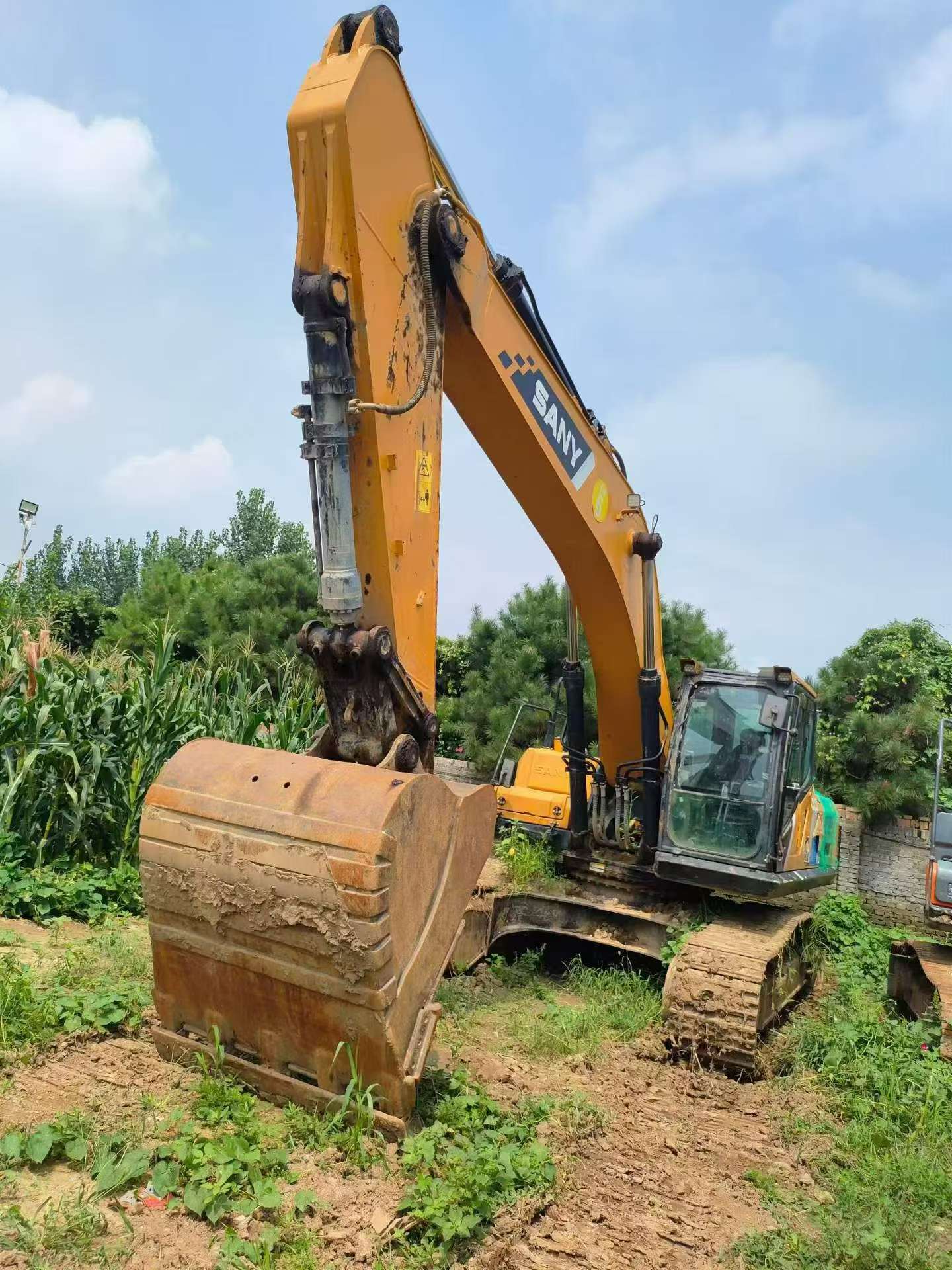 Buy Sany SY305C Used Excavator / 8