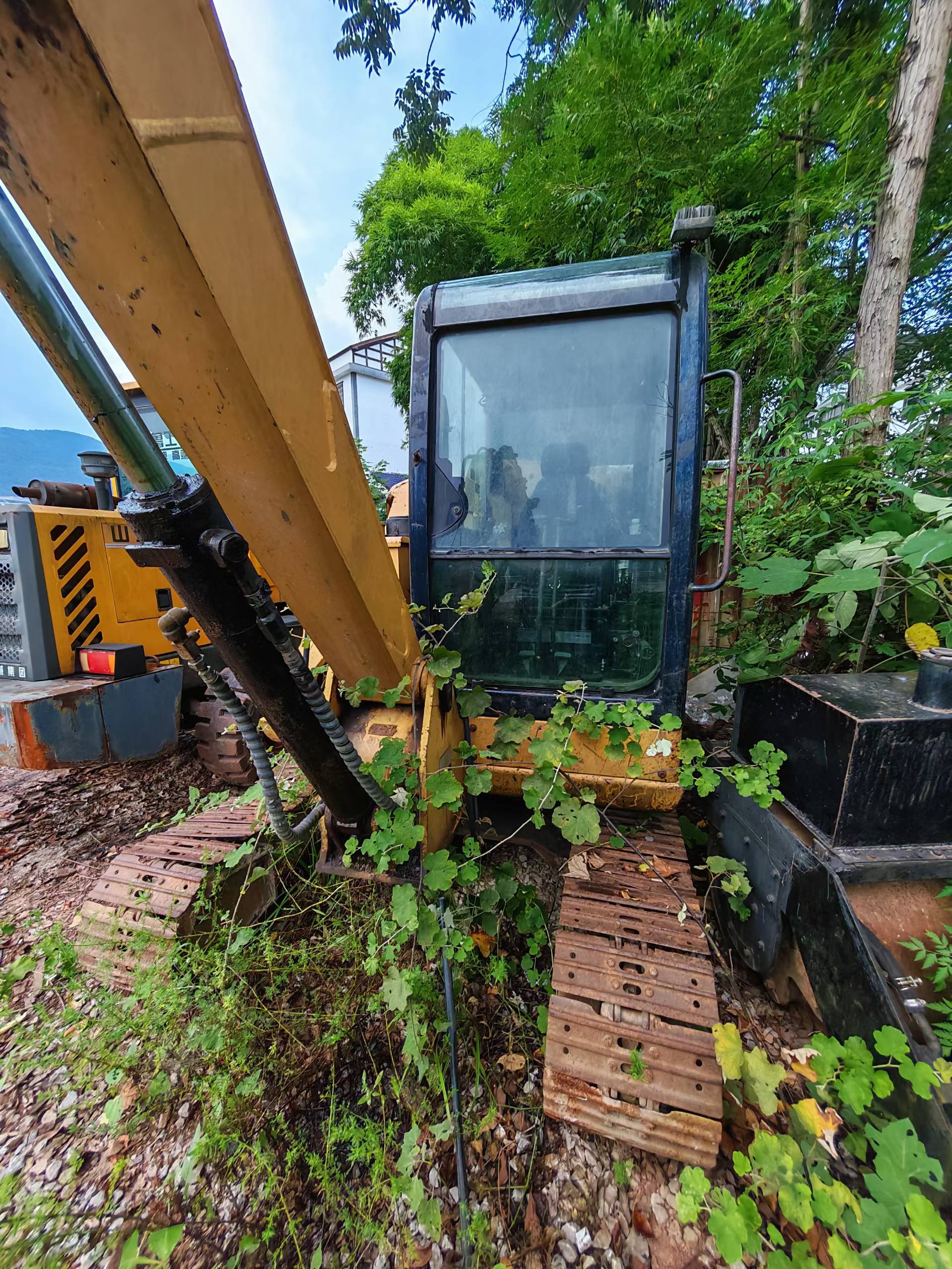 Buy Caterpillar 306D Used Excavator / 6