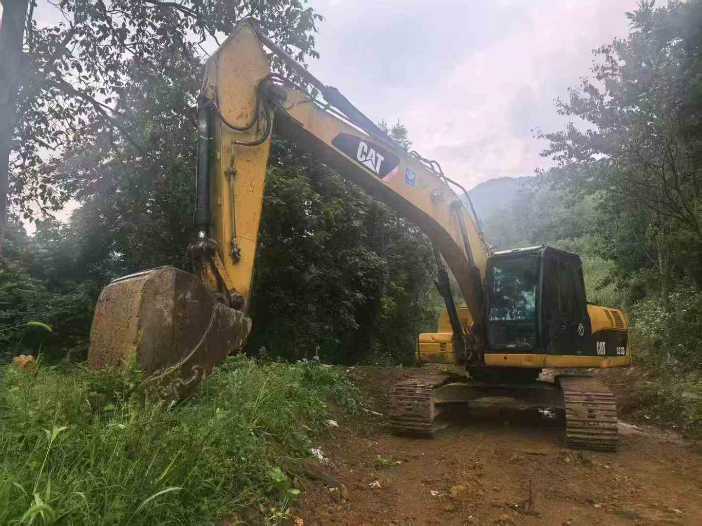 Buy Caterpillar 323DL Used Excavator / 1