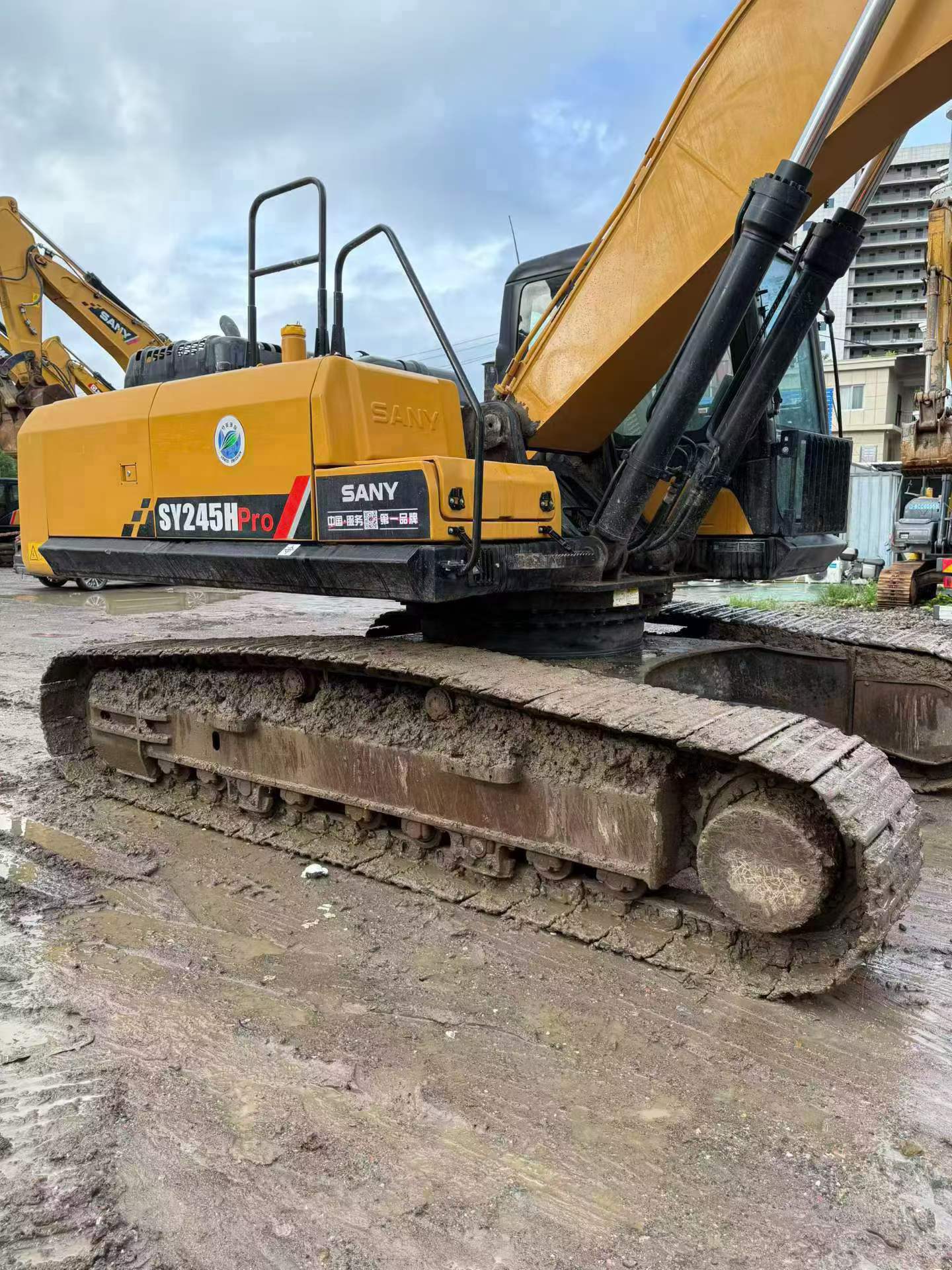 Buy Sany SY245H Used Excavator / 3
