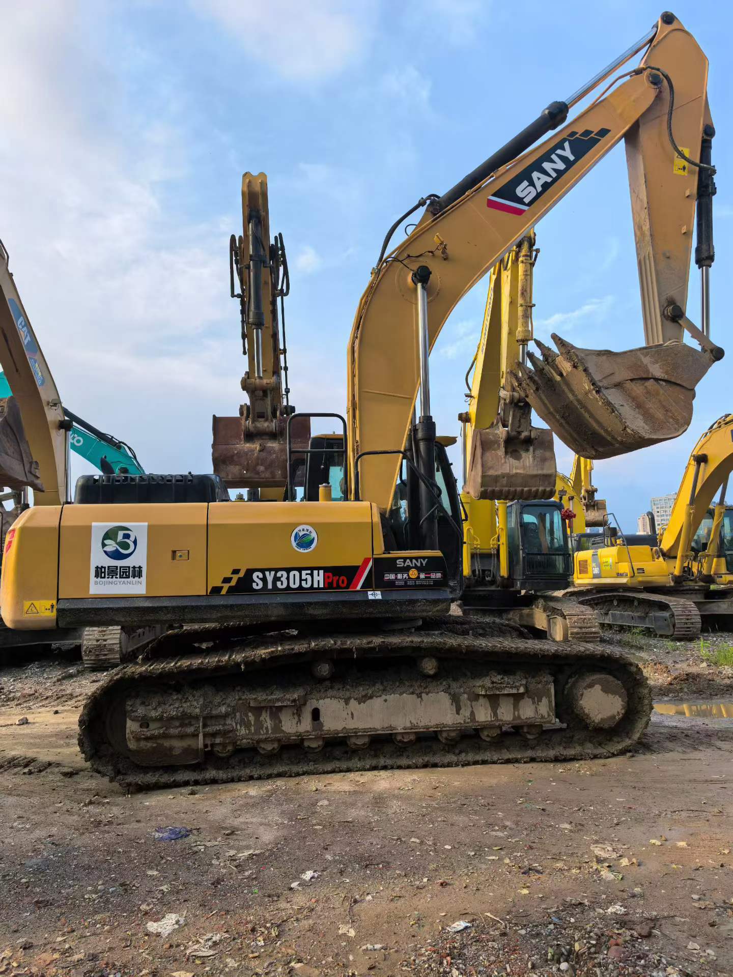 Buy Sany SY305C Used Excavator / 6