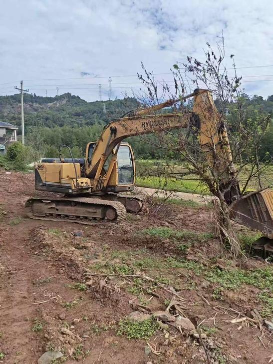 Buy Hyundai R150-7 Used Excavator / 1