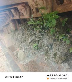 Buy Volvo EC240 Used Excavator / 9 Buy Volvo EC240 Used Excavator / 9