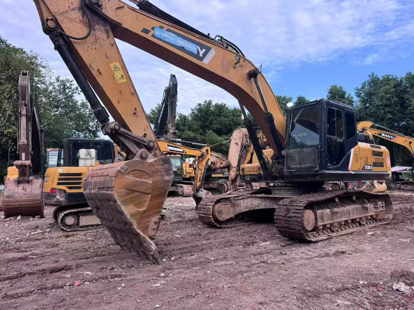 Buy Sany SY245H Used Excavator / 2