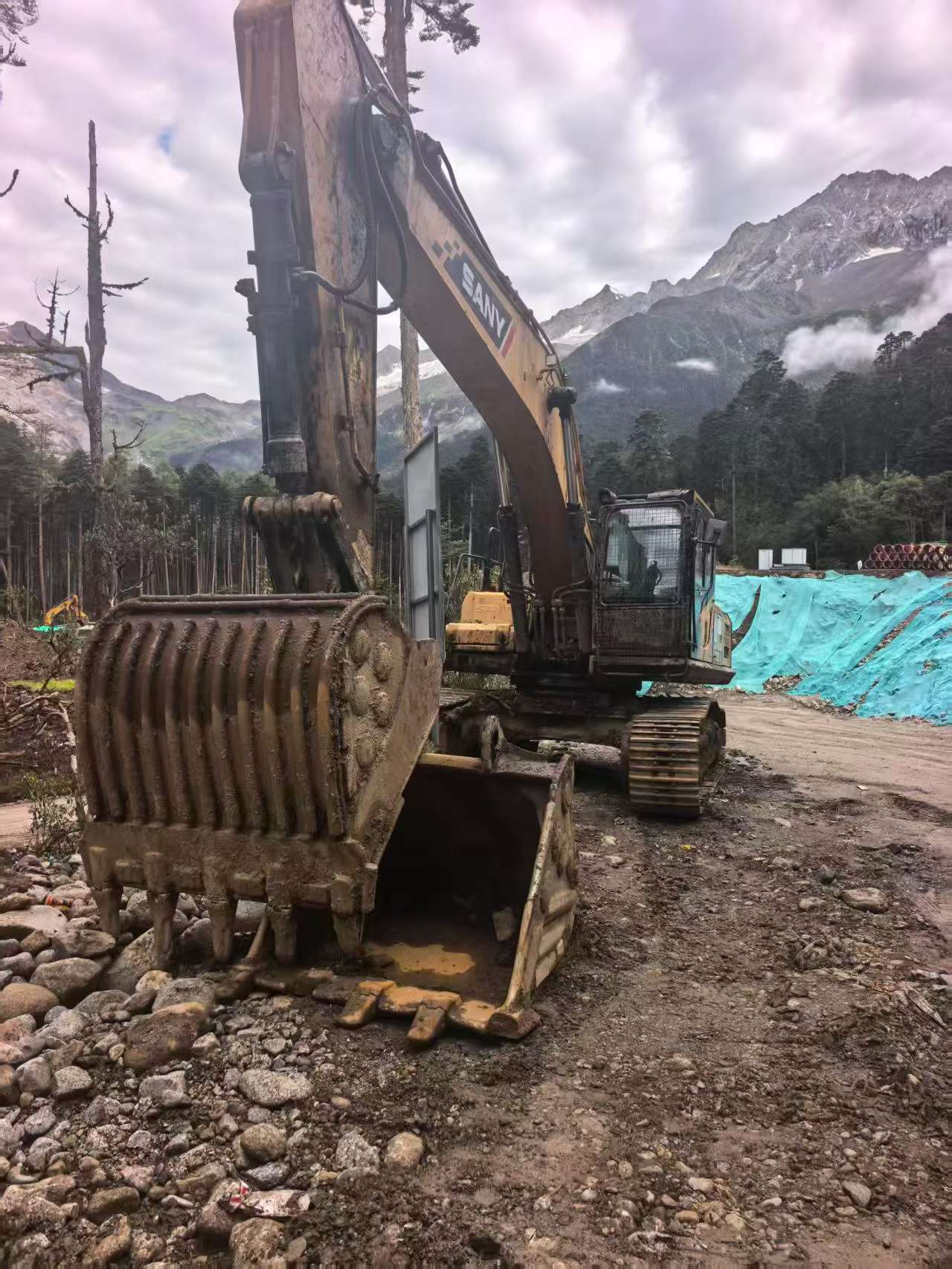Buy Sany SY305C Used Excavator / 4