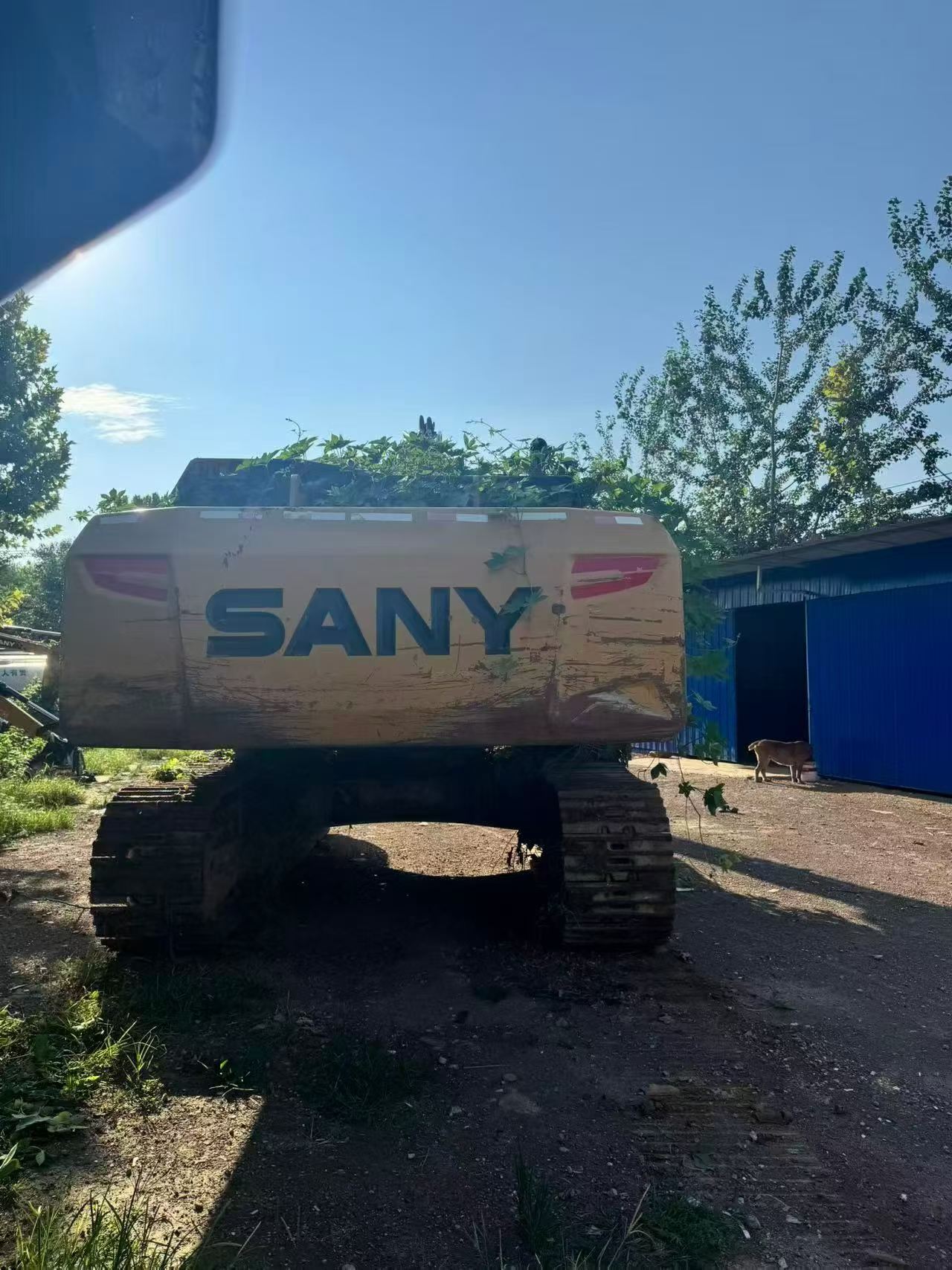 Buy Sany SY365C Used Excavator / 5