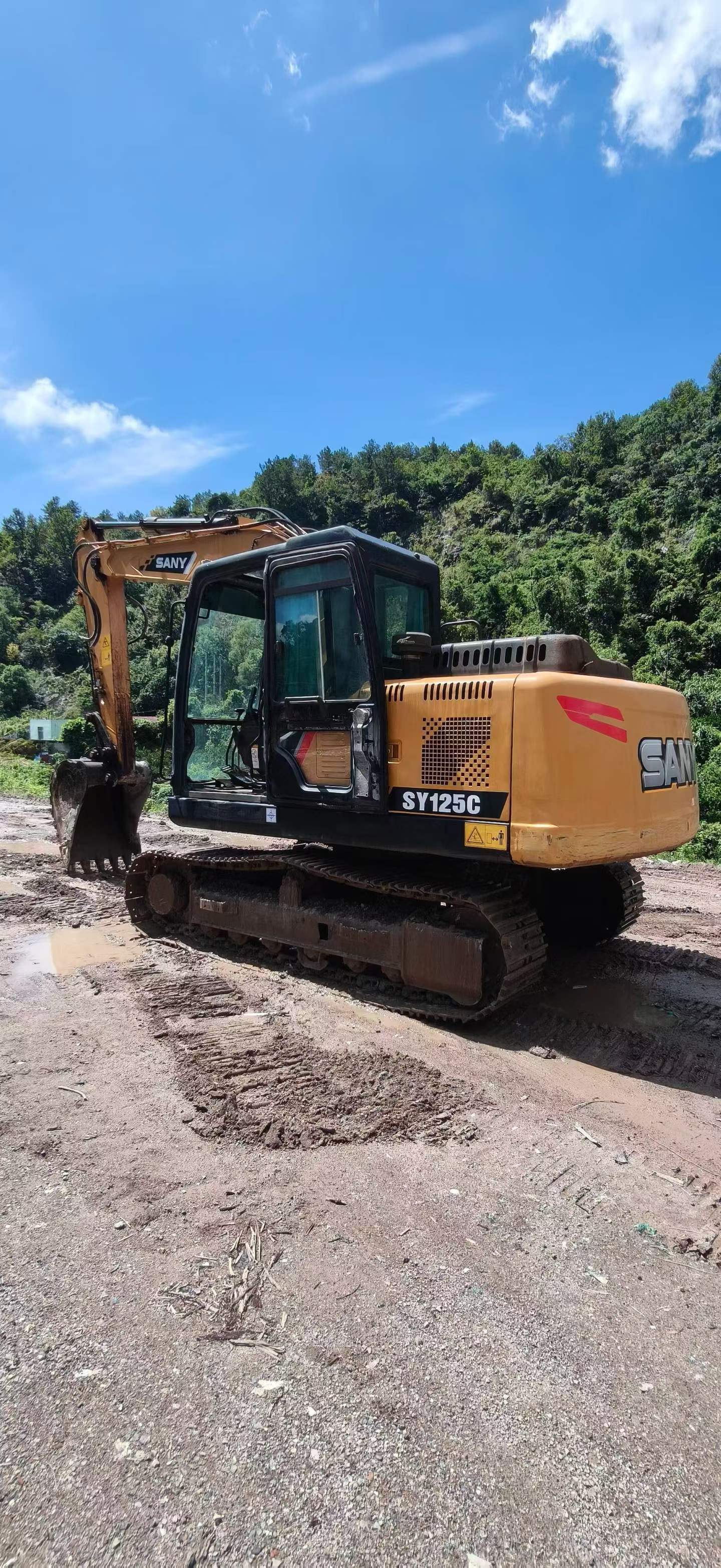 Buy Sany SY125C Used Excavator / 2