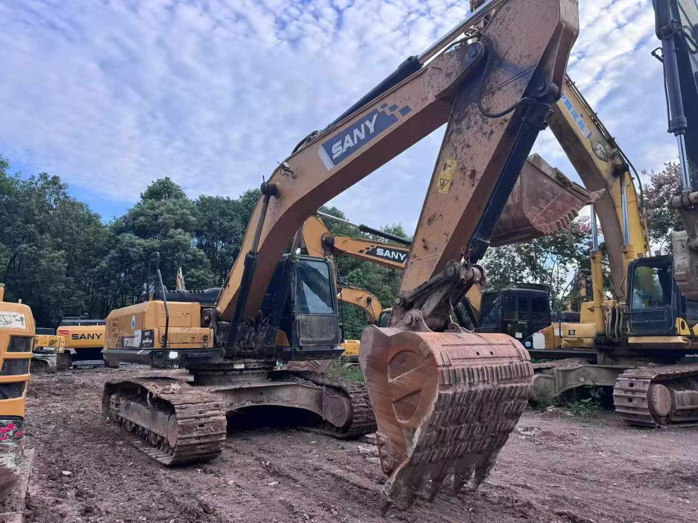 Buy Sany SY245H Used Excavator / 3