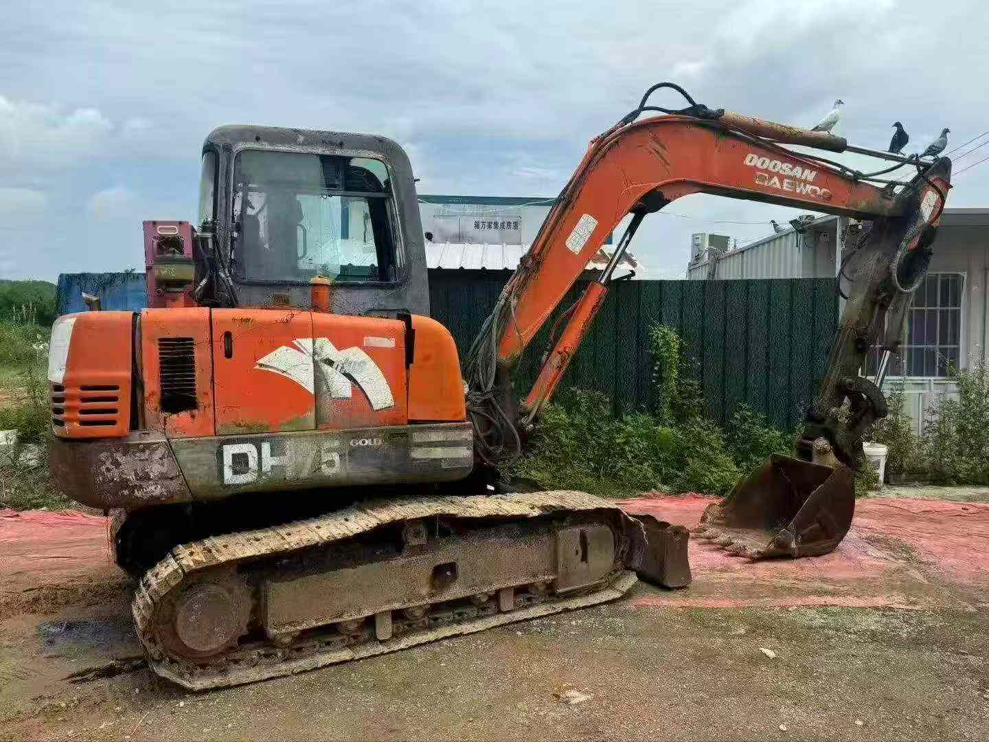 Buy Doosan DH55 Used Excavator / 3