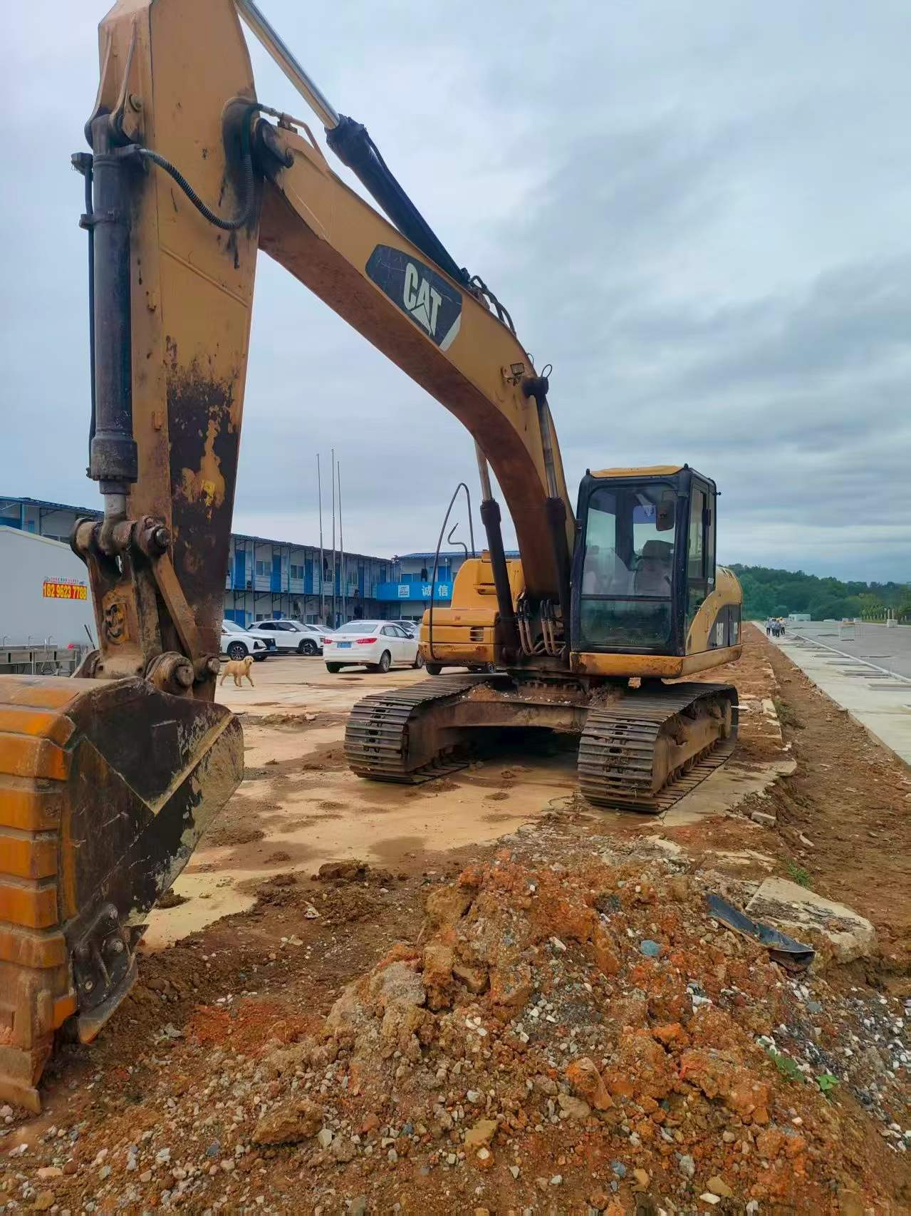 Buy Caterpillar 320D Used Excavator / 3