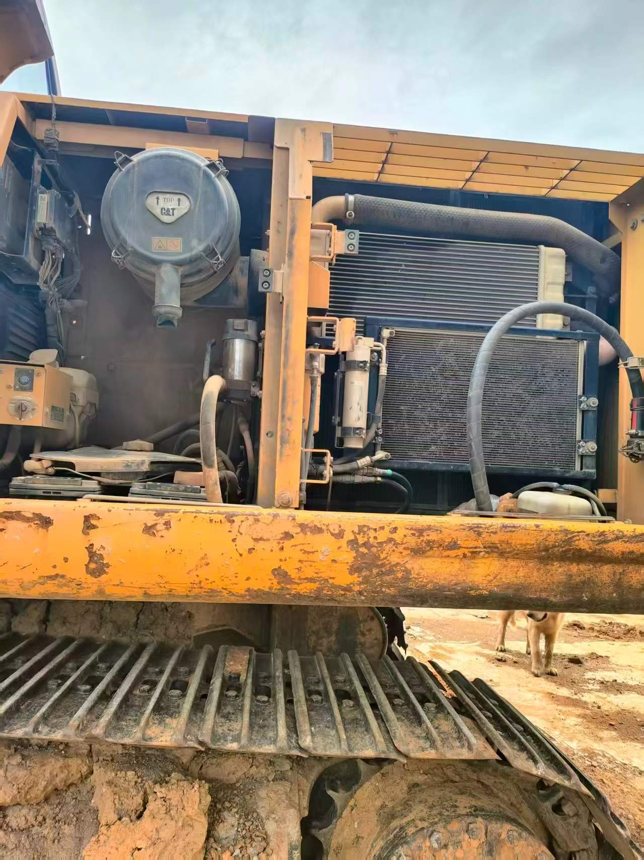 Buy Caterpillar 320D Used Excavator / 6